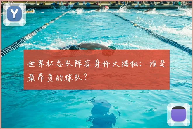 世界杯各队阵容身价大揭秘:谁是最昂贵的球队?