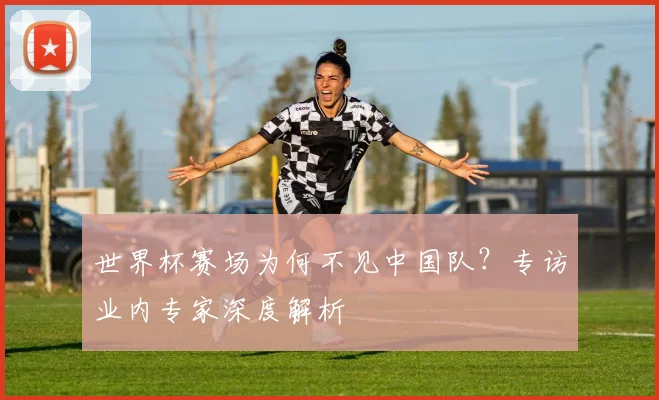 世界杯赛场为何不见中国队?专访业内专家深度解析