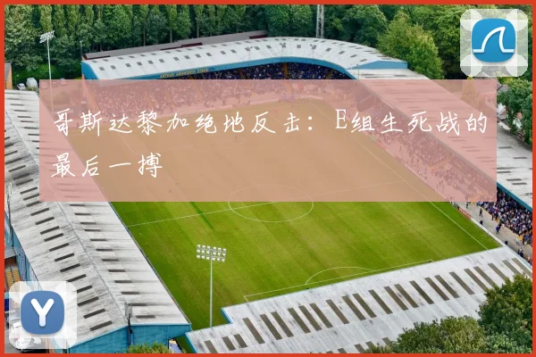 哥斯达黎加绝地反击:E组生死战的最后一搏