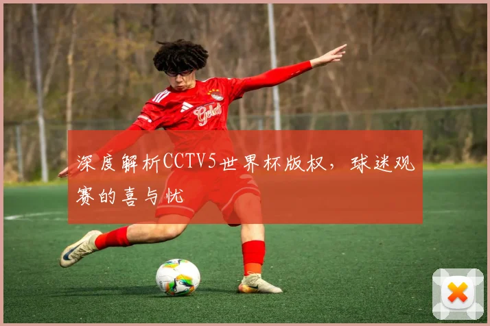 深度解析CCTV5世界杯版权，球迷观赛的喜与忧