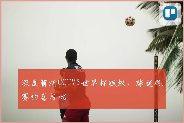 深度解析CCTV5世界杯版权，球迷观赛的喜与忧