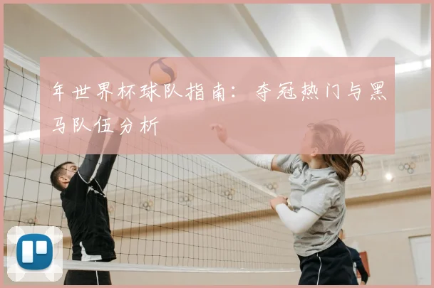 年世界杯球队指南：夺冠热门与黑马队伍分析