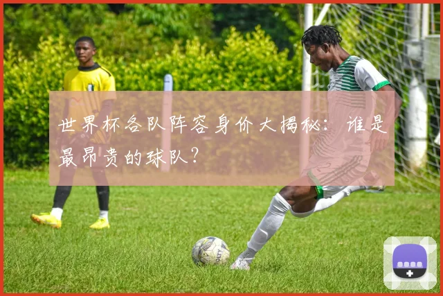 世界杯各队阵容身价大揭秘:谁是最昂贵的球队?