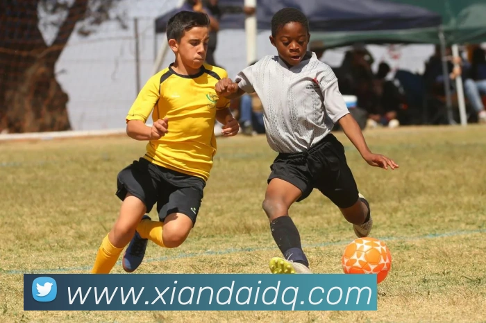 emc易倍官网APP 高清赛事图